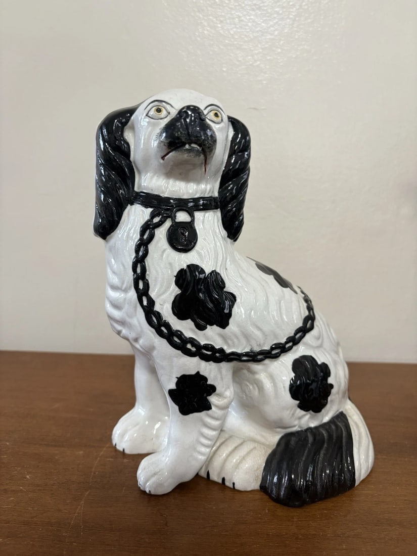 Pr Black & White Staffordshire Spaniel Dogs - 9