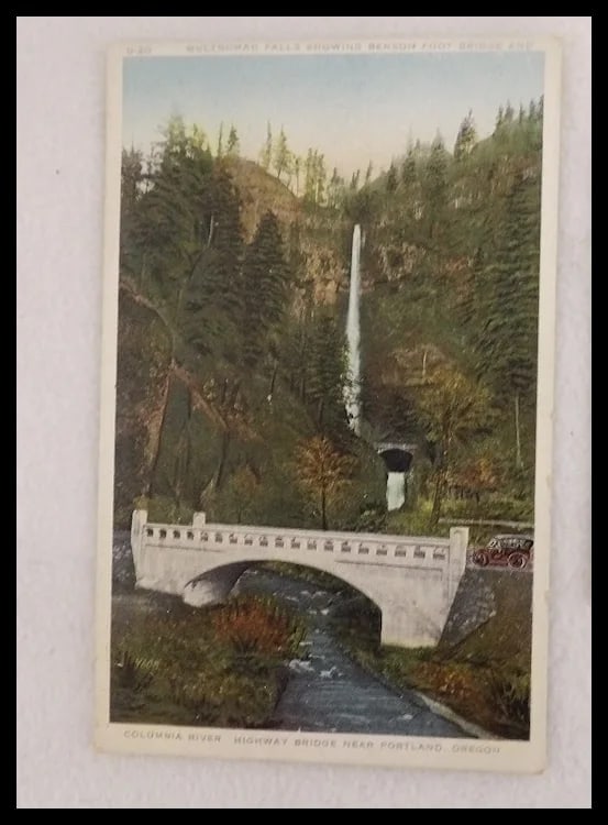 Americhrome Early 1900’s One Cent Unposted Post Cards - 3