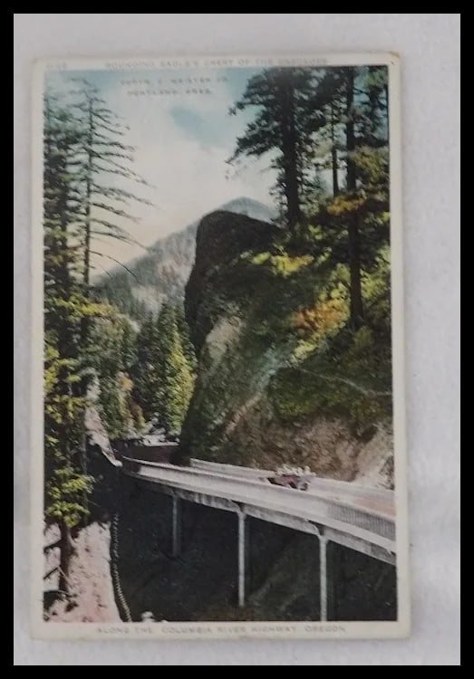 Americhrome Early 1900’s One Cent Unposted Post Cards - 5