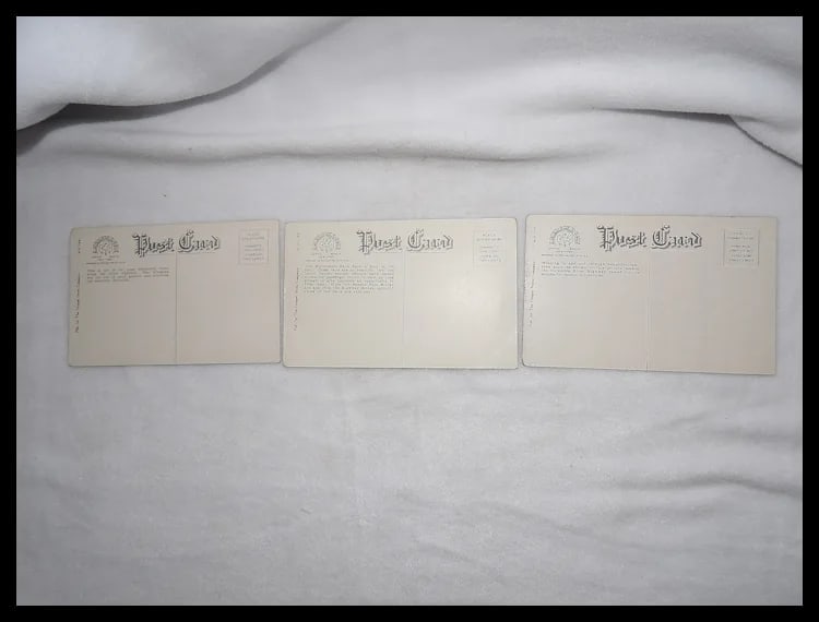 Americhrome Early 1900’s One Cent Unposted Post Cards - 6
