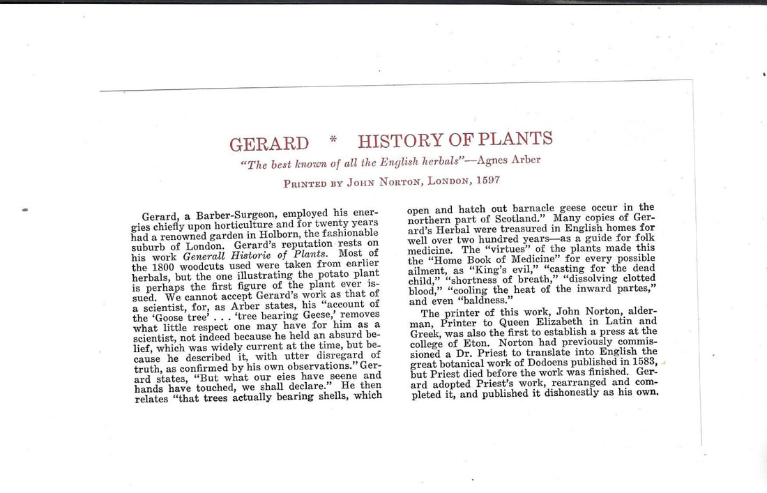 1597 Handcolored Leaf from English Herbal - 3