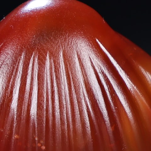 Agate Pendant - Conch - 2