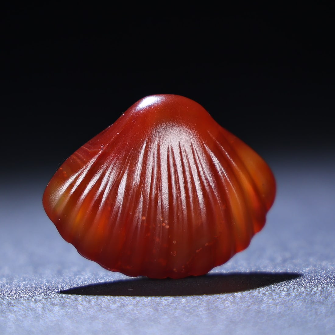 Agate Pendant - Conch - 4