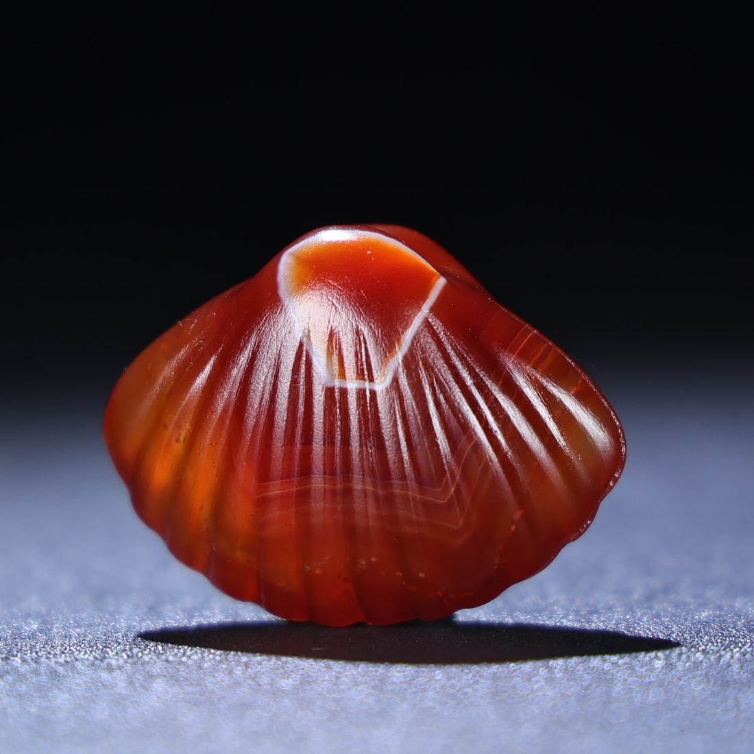 Agate Pendant - Conch - 5