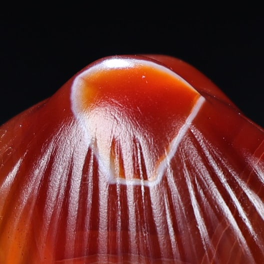 Agate Pendant - Conch - 6