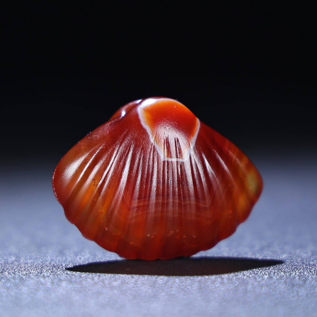 Agate Pendant - Conch - 7