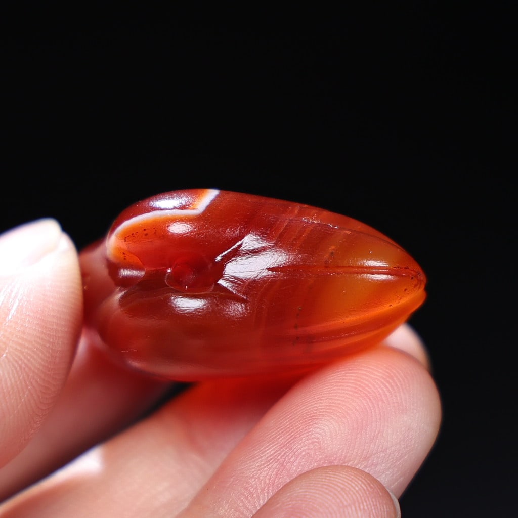Agate Pendant - Conch - 8