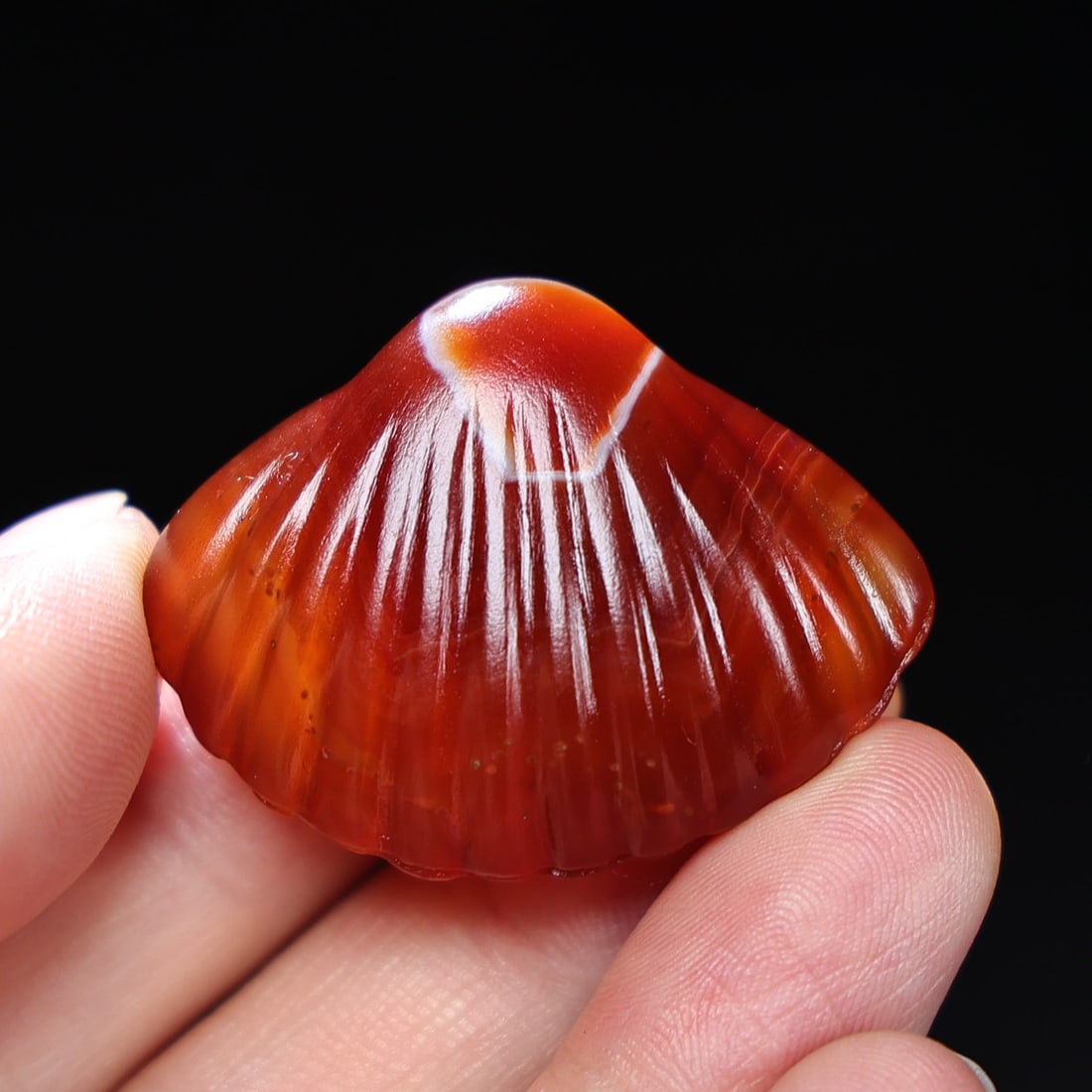 Agate Pendant - Conch - 9