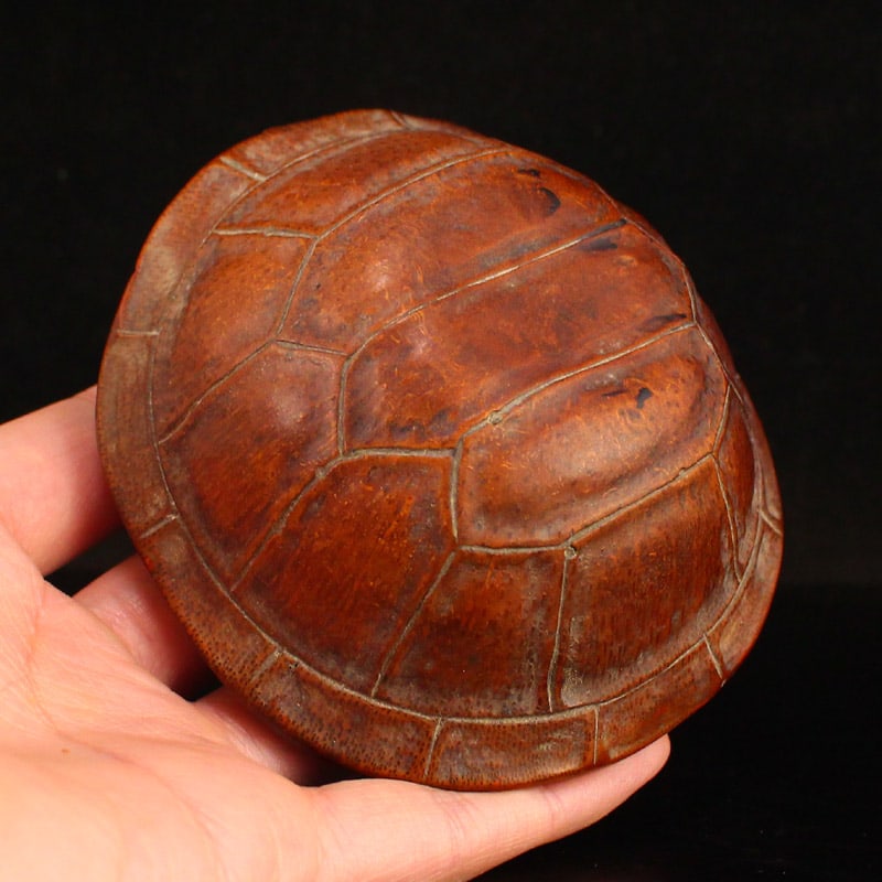Old Bamboo Dragon turtle Statue - 4