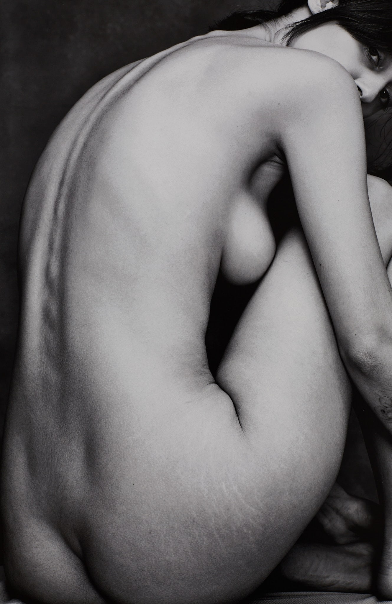Spine 1/25 (2026) - 2