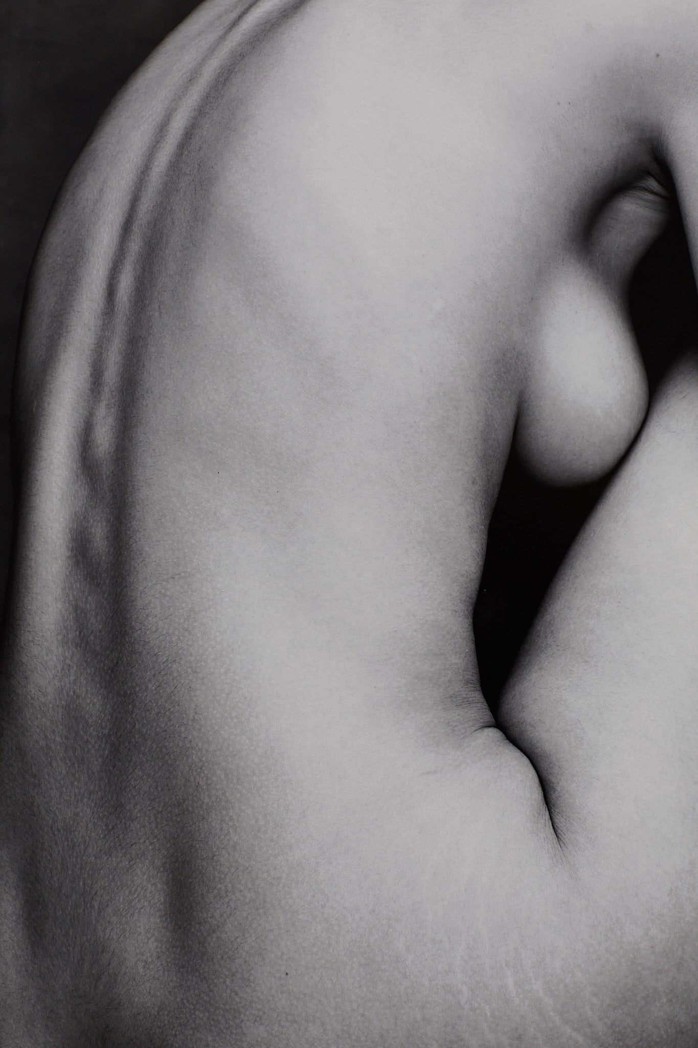 Spine 1/25 (2026) - 4