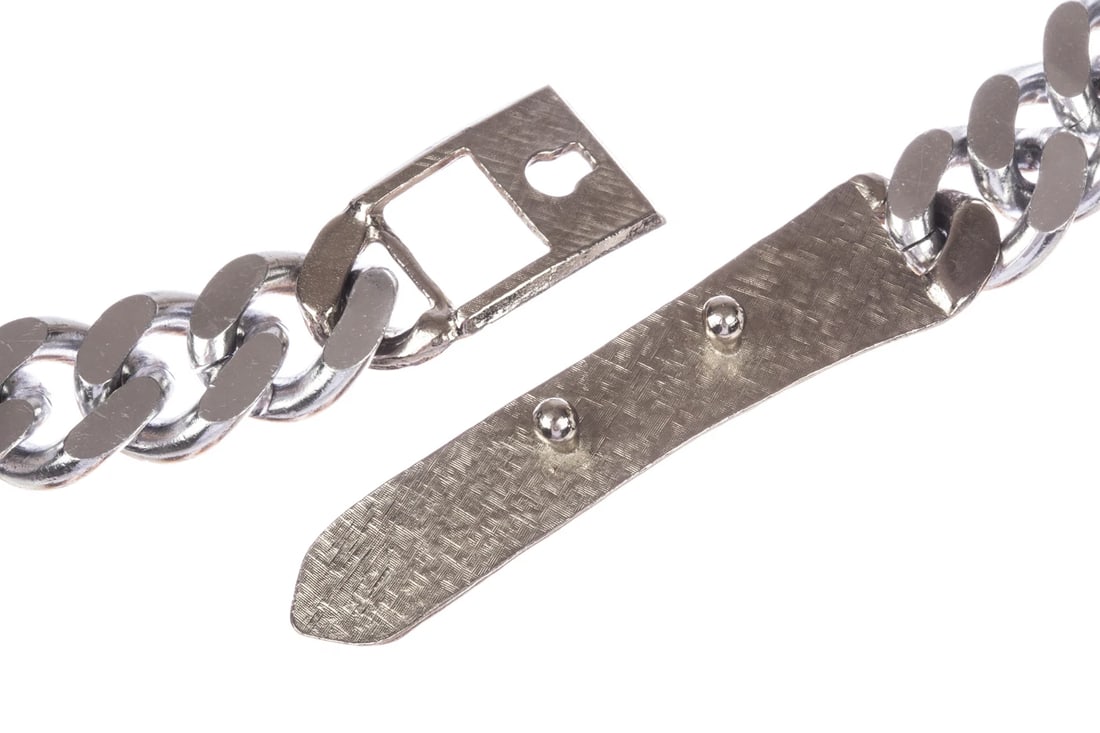 Pauline Rader Silver Tone Belt - 5