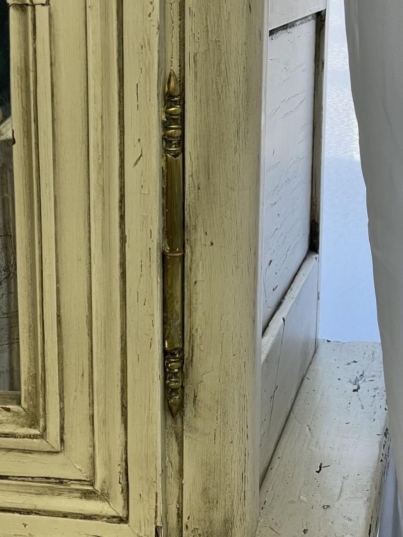 19th Century Gustavian Bookcase Cabinet, Cupboard, Antiqued Mirror, French - 11