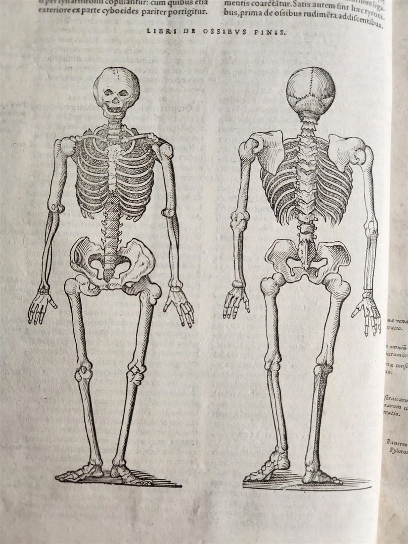 1571 MEDICAL TREATISE ILLUSTRATED antique 16th century FOLIO Epitome Galeni: Title: 1571 MEDICAL TREATISE ILLUSTRATED antique 16th century FOLIO Epitome Galeni Description: Epitome Galeni Pergameni operum in quattuor partes digesta. Acc. Lacunae annotationes in Galeiii