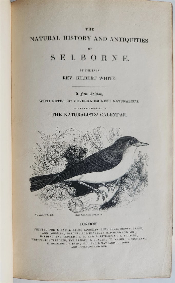 1870s NATURAL HISTORY AND ANTIQUITIES of SELBORNE w/ ARMORIAL BINDING ANTIQUE - 3