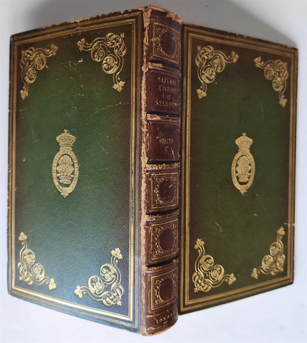 1870s NATURAL HISTORY AND ANTIQUITIES of SELBORNE w/ ARMORIAL BINDING ANTIQUE - 5