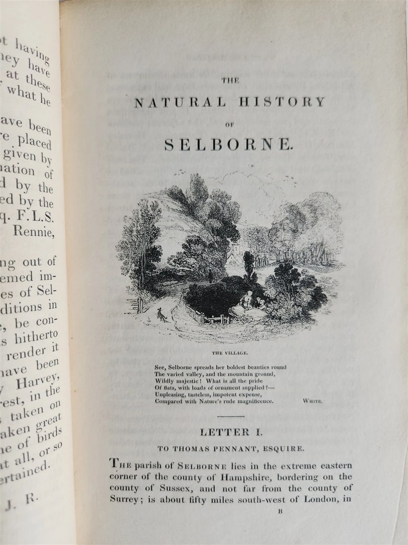 1870s NATURAL HISTORY AND ANTIQUITIES of SELBORNE w/ ARMORIAL BINDING ANTIQUE - 7