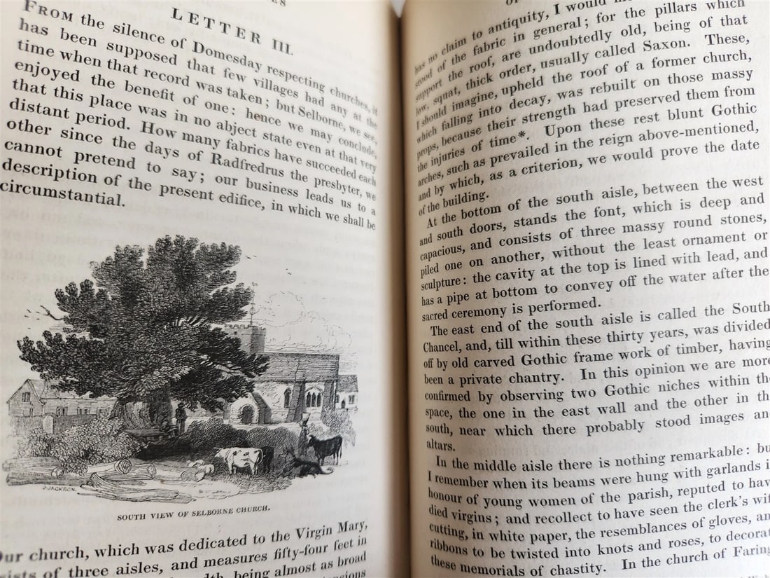 1870s NATURAL HISTORY AND ANTIQUITIES of SELBORNE w/ ARMORIAL BINDING ANTIQUE - 9