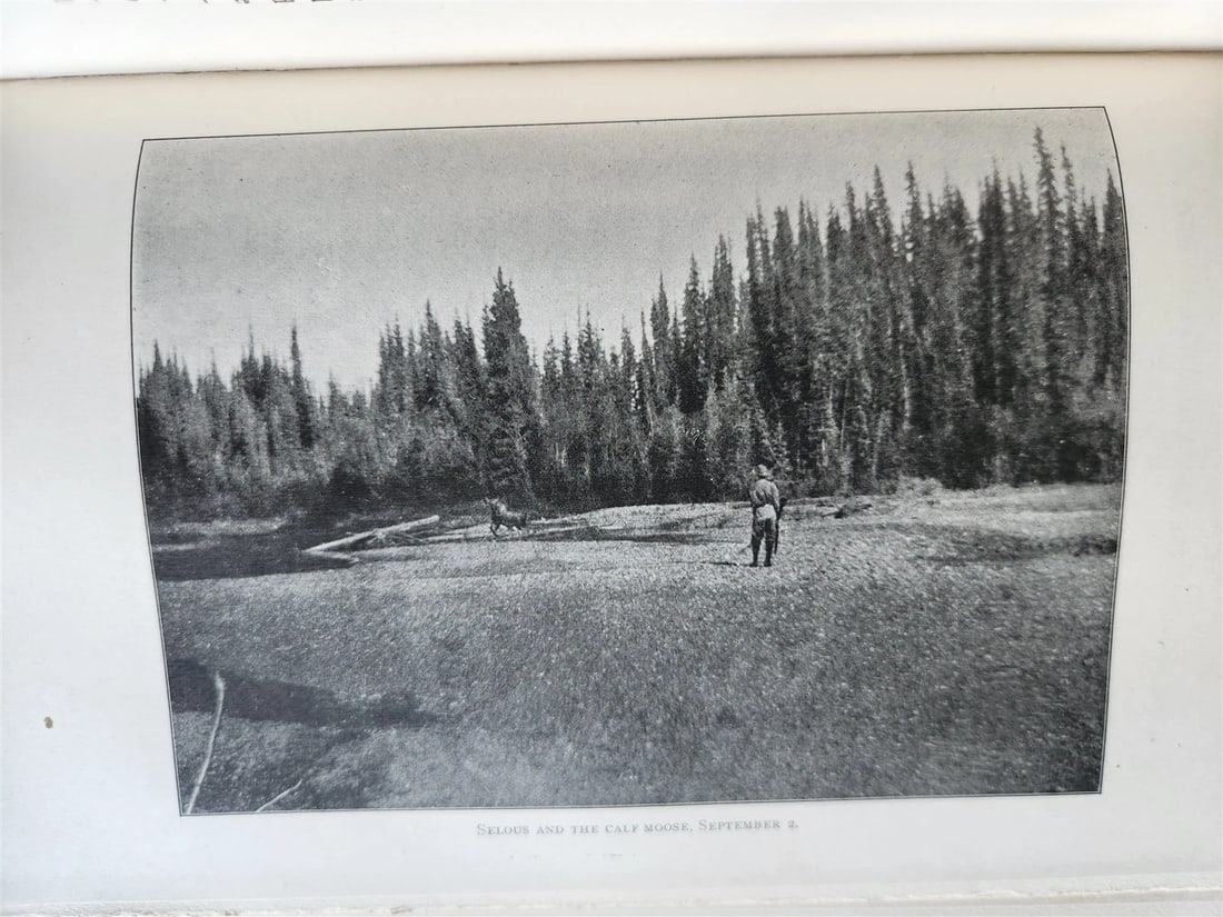 1919 THE WILDERNESS OF THE UPPER YUKON by C.Sheldon ILLUSTRATED antique - 14