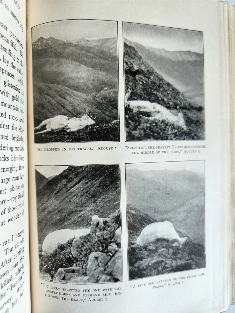 1919 THE WILDERNESS OF THE UPPER YUKON by C.Sheldon ILLUSTRATED antique - 16