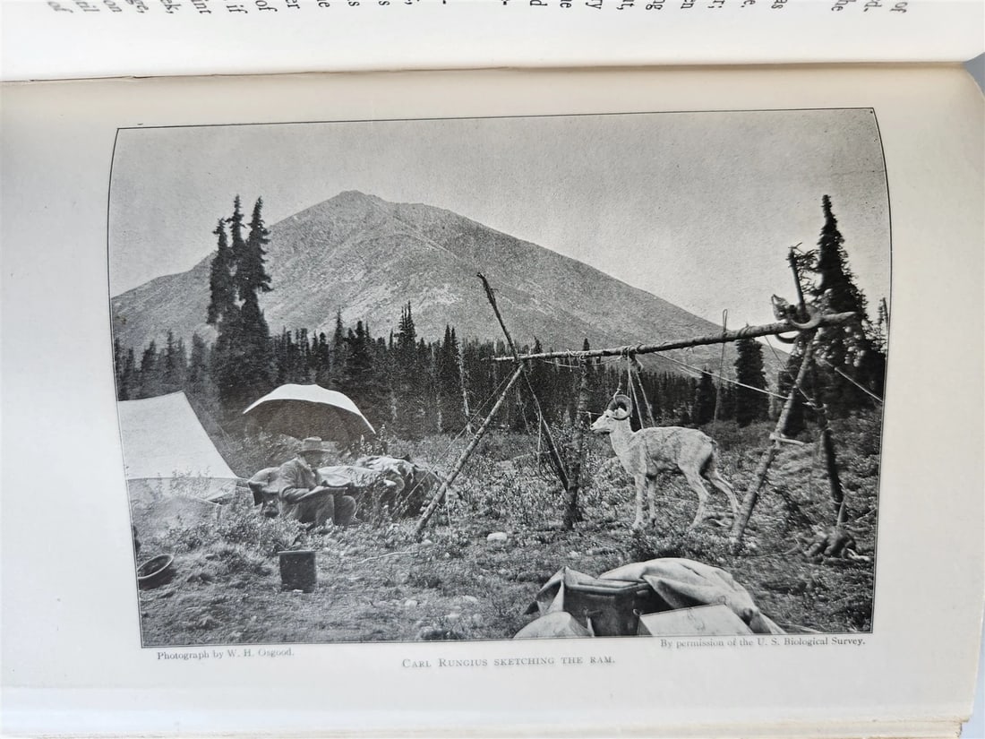 1919 THE WILDERNESS OF THE UPPER YUKON by C.Sheldon ILLUSTRATED antique - 17