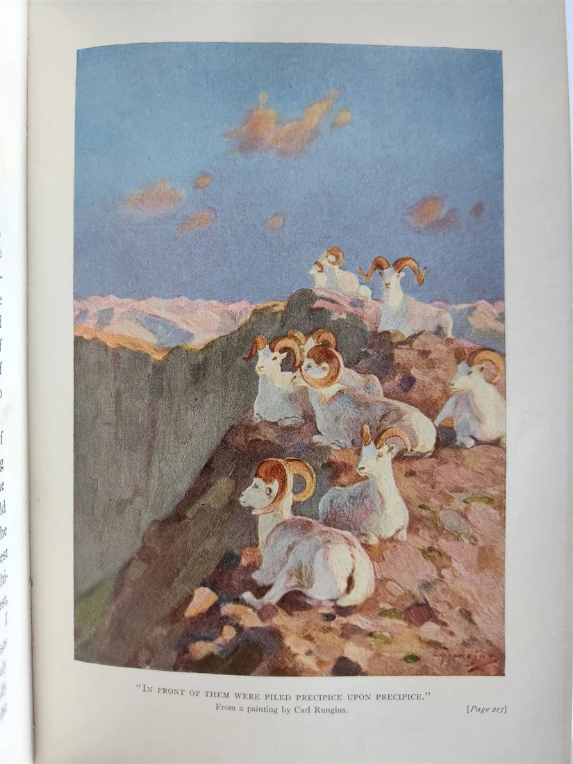 1919 THE WILDERNESS OF THE UPPER YUKON by C.Sheldon ILLUSTRATED antique - 9