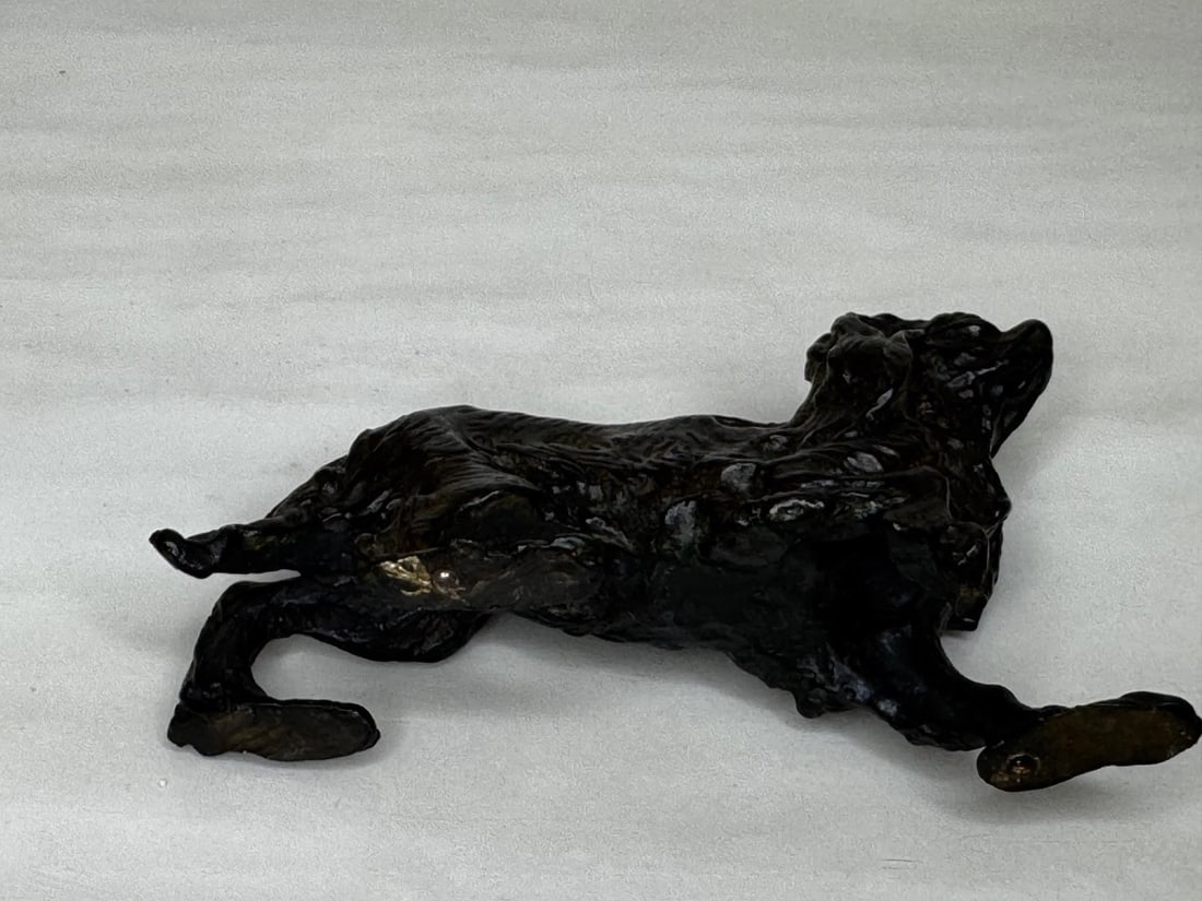 Austrian Bronze Long Haired Dachshund In the Manner of Franz Xaver Bergman - 12