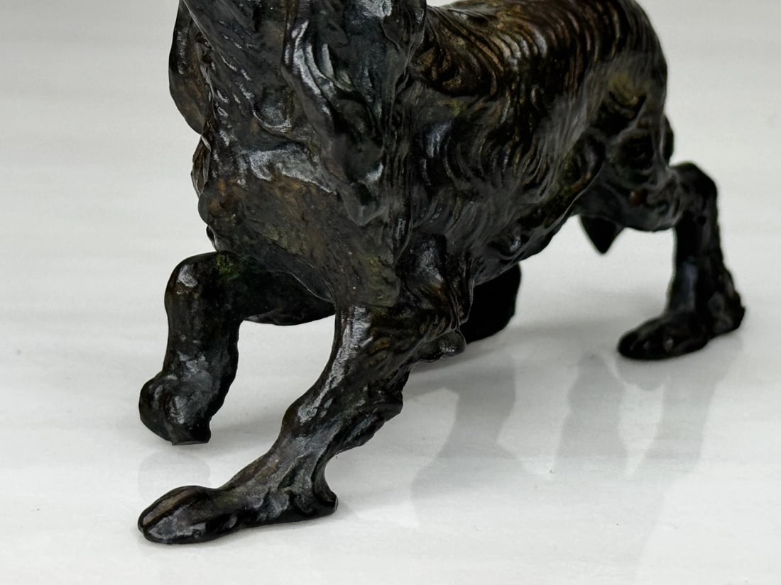 Austrian Bronze Long Haired Dachshund In the Manner of Franz Xaver Bergman - 16