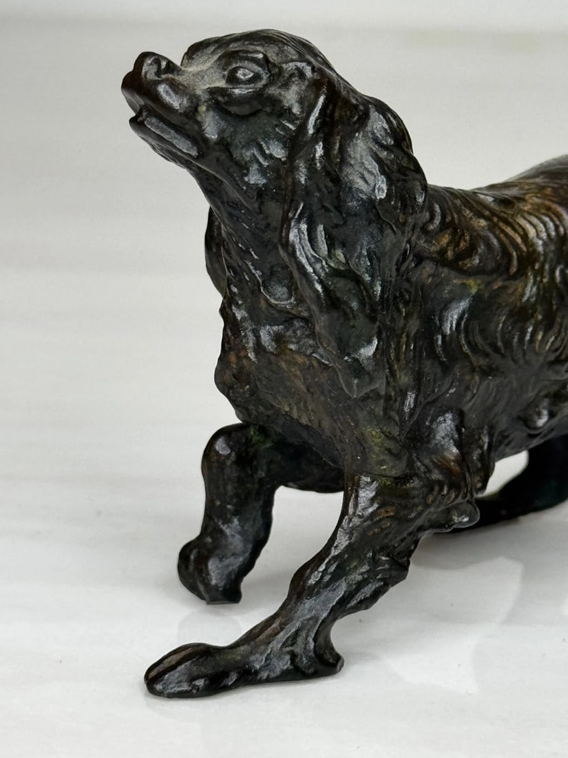 Austrian Bronze Long Haired Dachshund In the Manner of Franz Xaver Bergman - 17