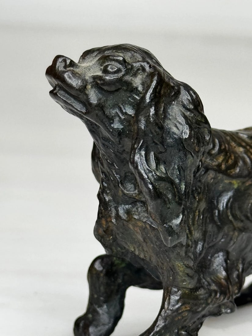 Austrian Bronze Long Haired Dachshund In the Manner of Franz Xaver Bergman - 18