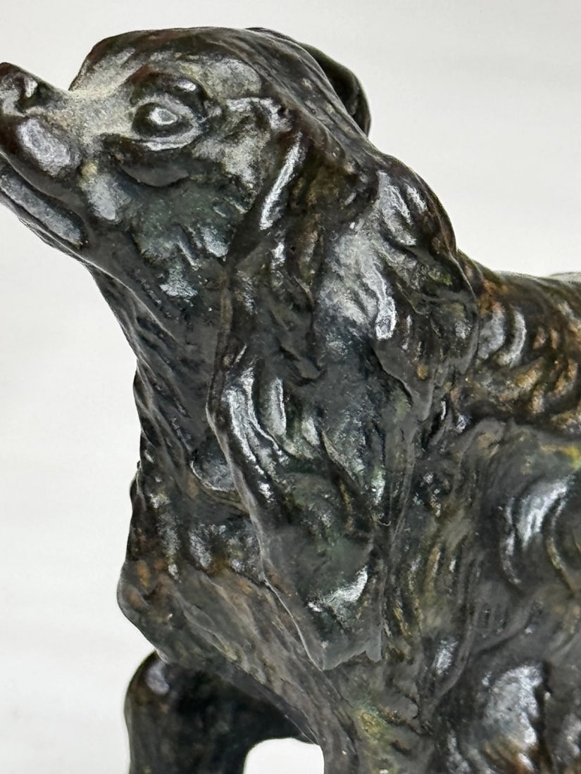 Austrian Bronze Long Haired Dachshund In the Manner of Franz Xaver Bergman - 19