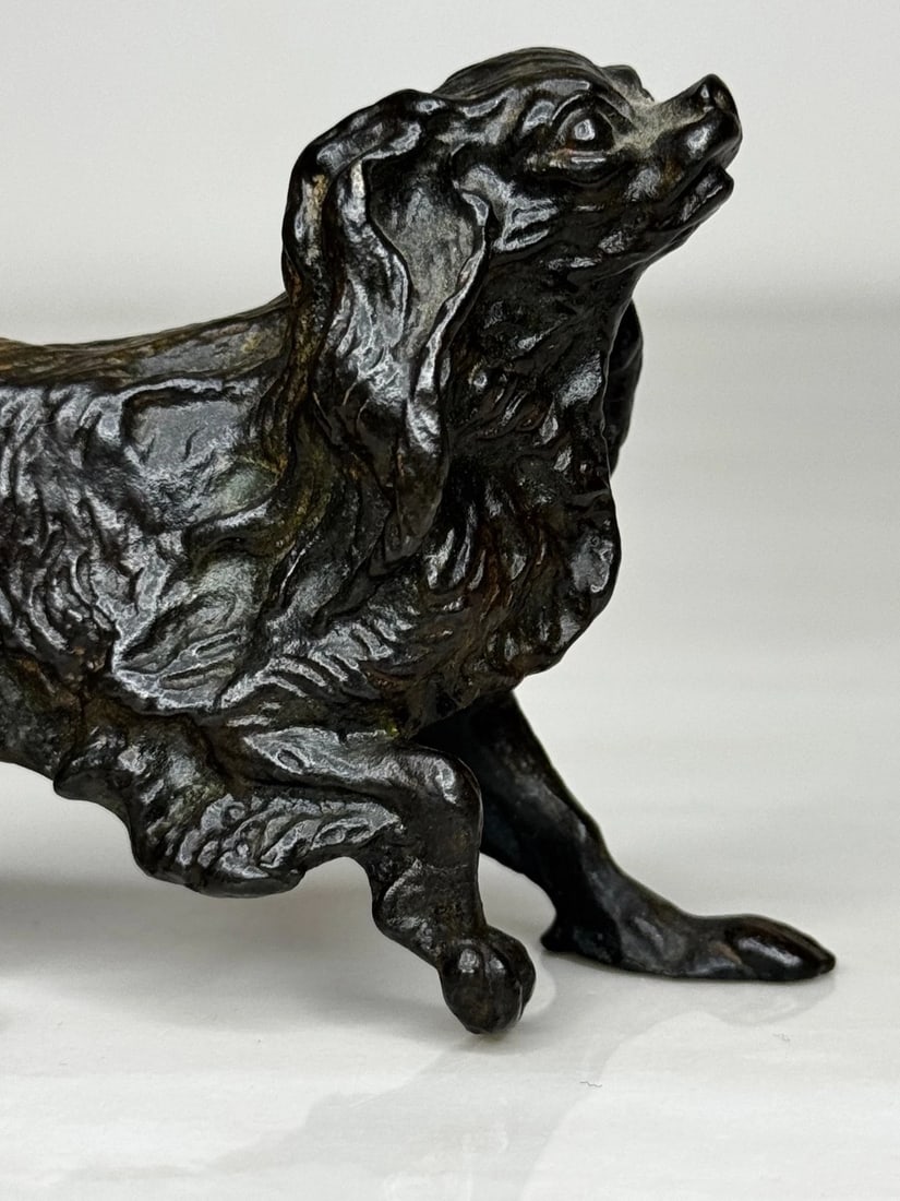 Austrian Bronze Long Haired Dachshund In the Manner of Franz Xaver Bergman - 5