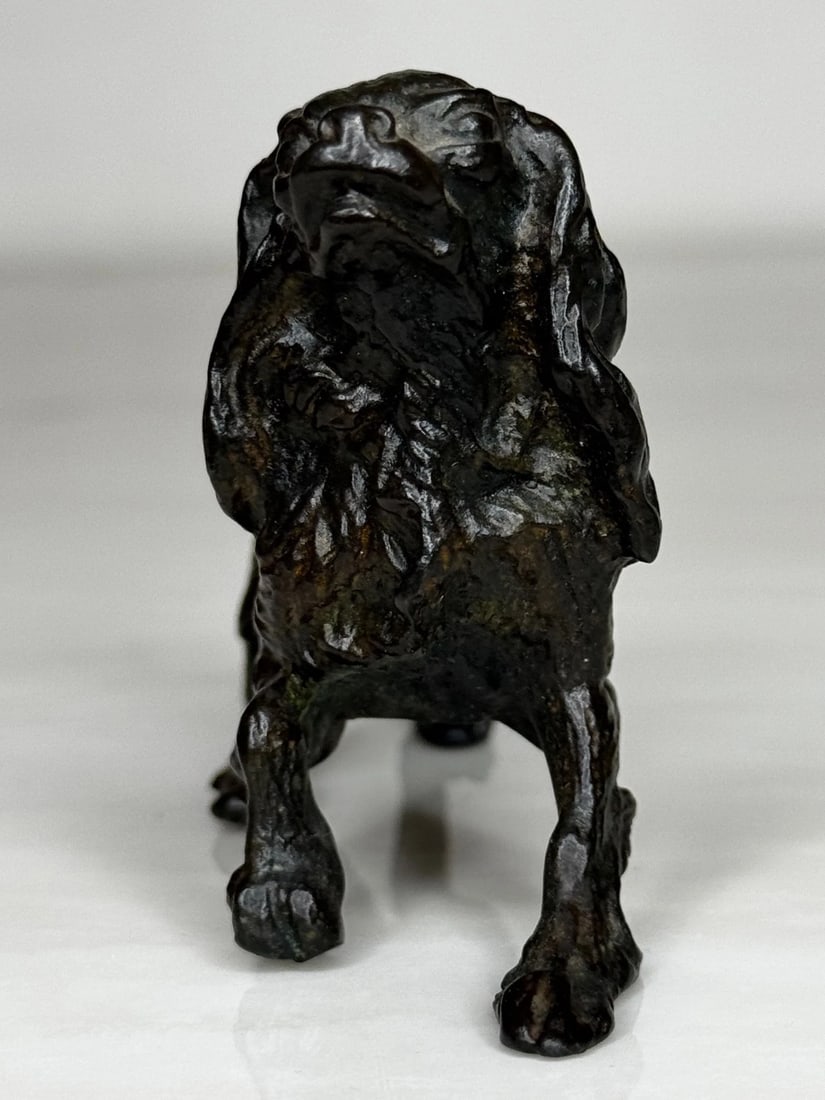 Austrian Bronze Long Haired Dachshund In the Manner of Franz Xaver Bergman - 6