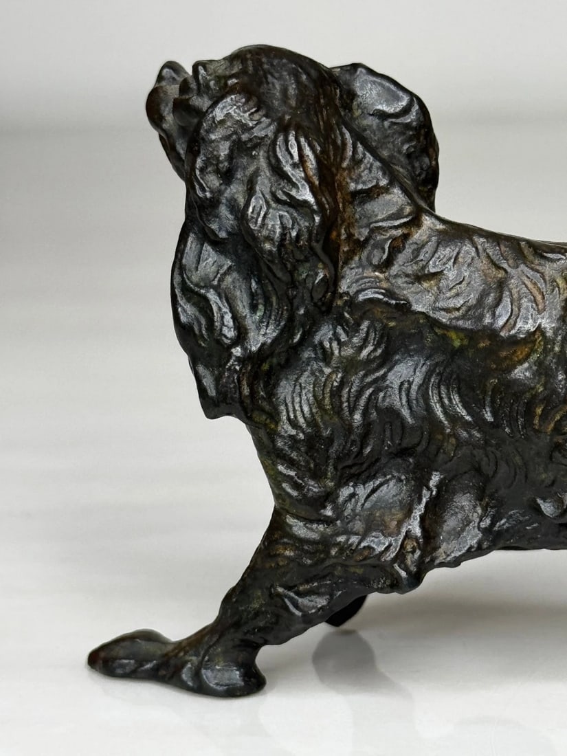 Austrian Bronze Long Haired Dachshund In the Manner of Franz Xaver Bergman - 8