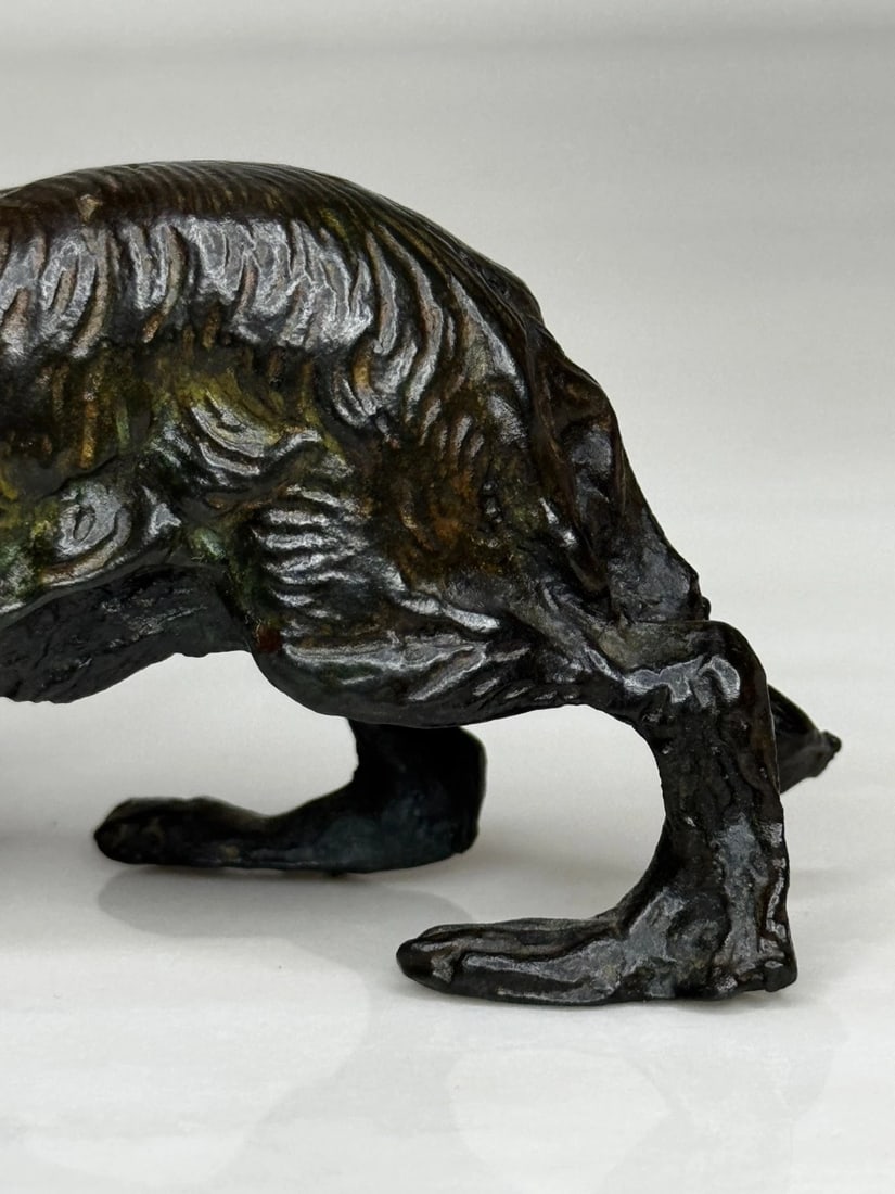 Austrian Bronze Long Haired Dachshund In the Manner of Franz Xaver Bergman - 9