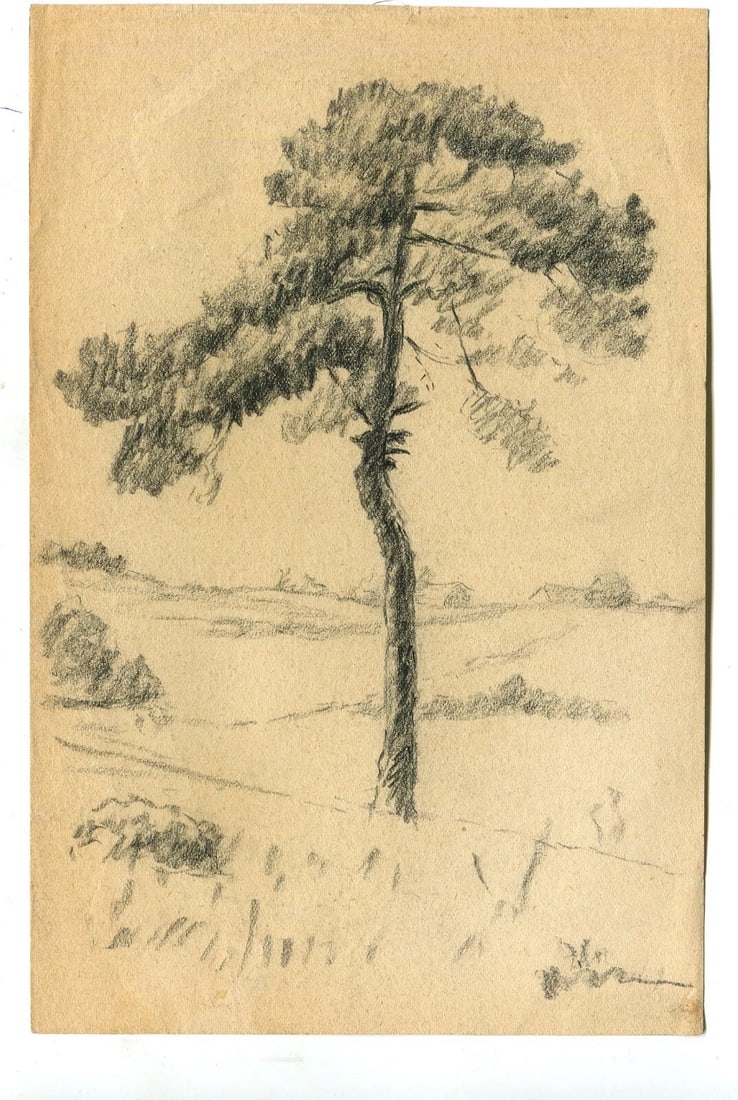 19th Century Pencil Drawing Trees Vegetation Landscape Leaves Antique Original - 2