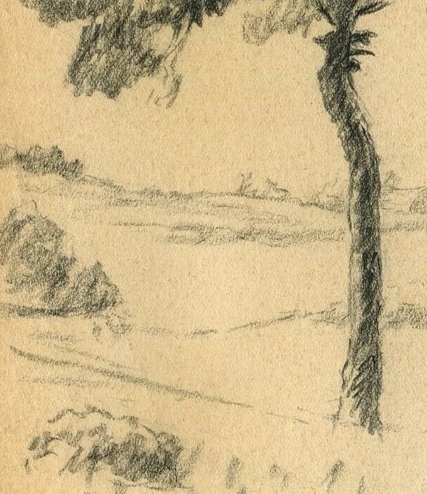 19th Century Pencil Drawing Trees Vegetation Landscape Leaves Antique Original - 3