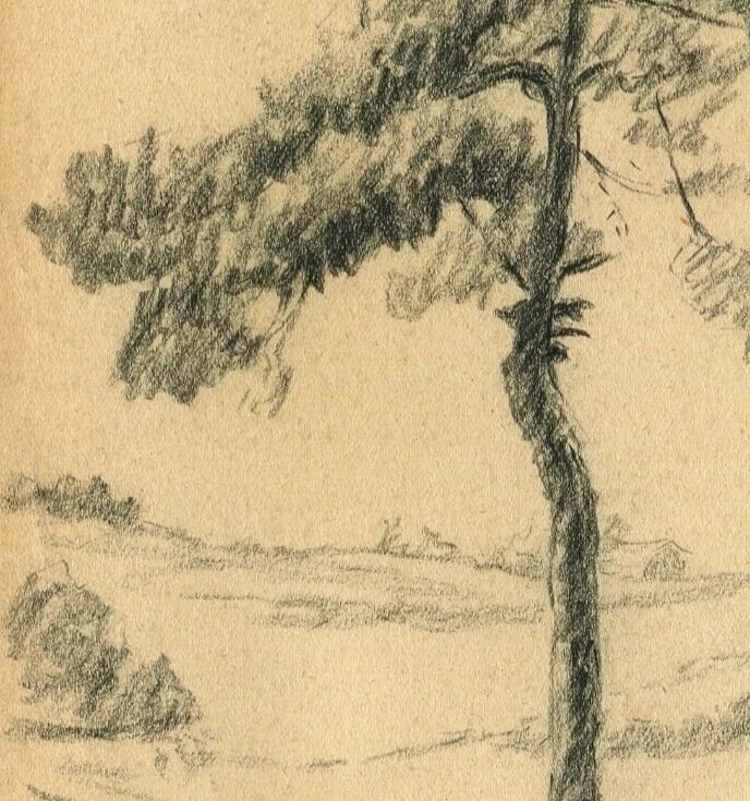 19th Century Pencil Drawing Trees Vegetation Landscape Leaves Antique Original - 4