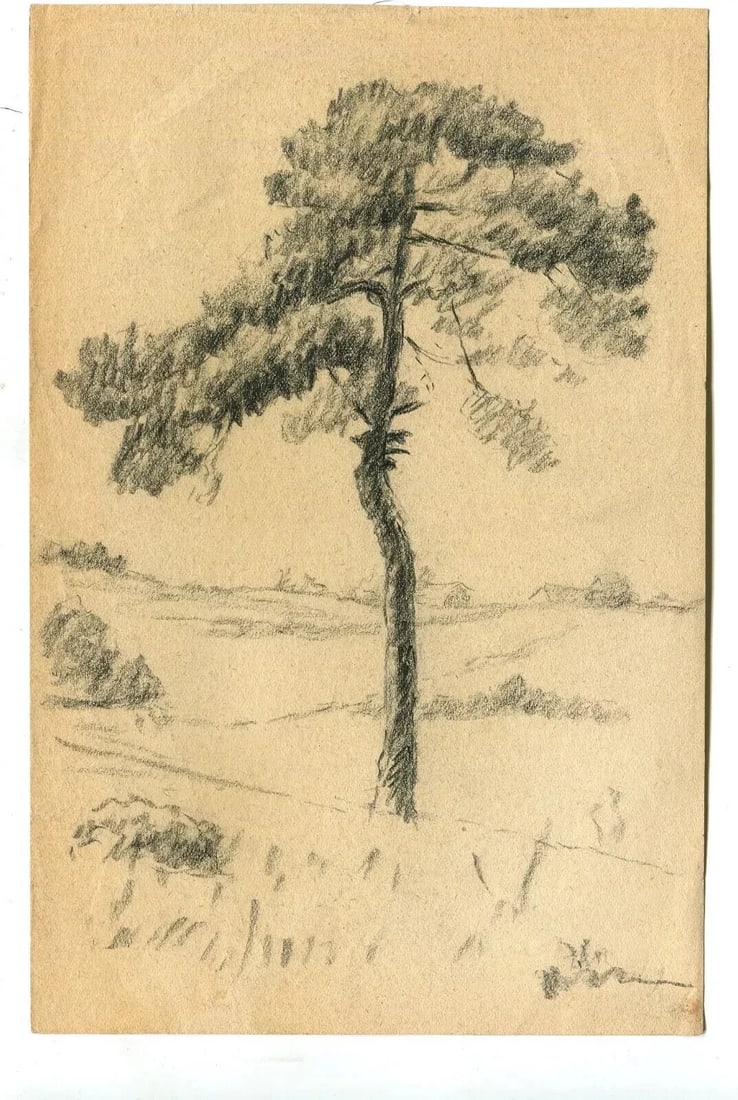 19th Century Pencil Drawing Trees Vegetation Landscape Leaves Antique Original - 5
