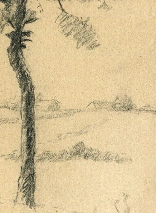 19th Century Pencil Drawing Trees Vegetation Landscape Leaves Antique Original - 7