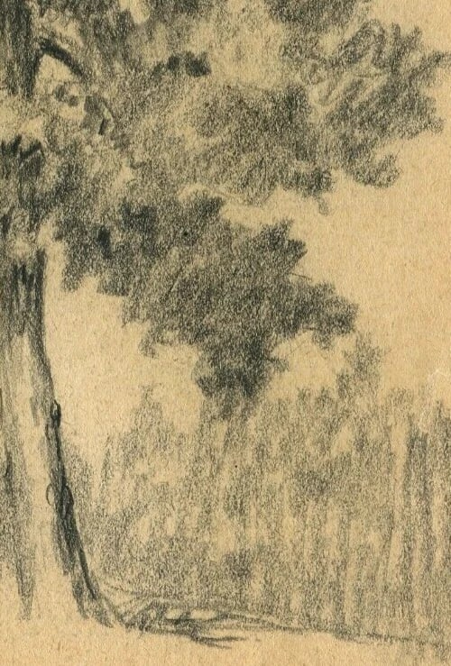 French Drawing Tree Vegetation Landscape Leaves Pencil Original - 2