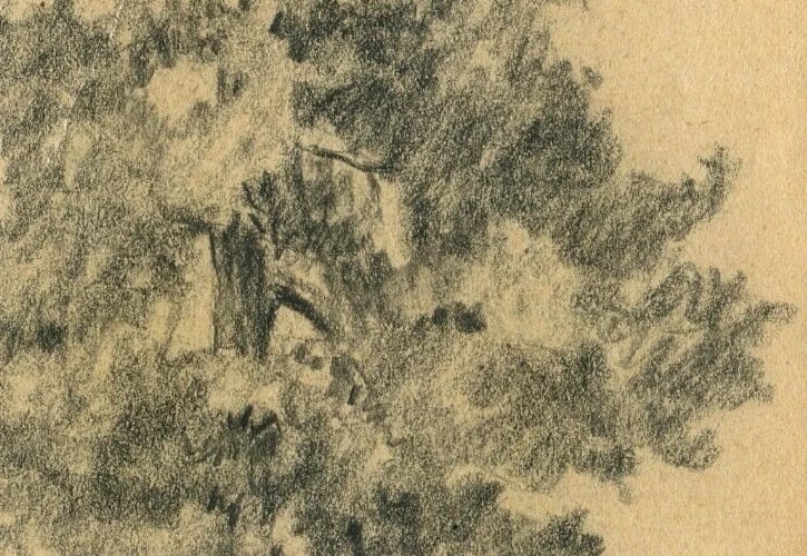French Drawing Tree Vegetation Landscape Leaves Pencil Original - 3