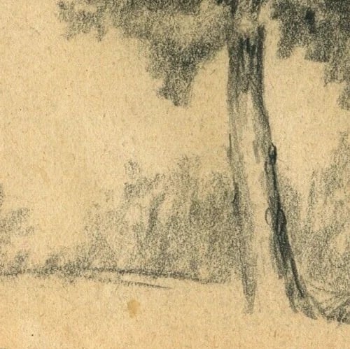 French Drawing Tree Vegetation Landscape Leaves Pencil Original - 5