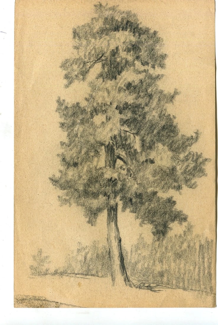 French Drawing Tree Vegetation Landscape Leaves Pencil Original - 6