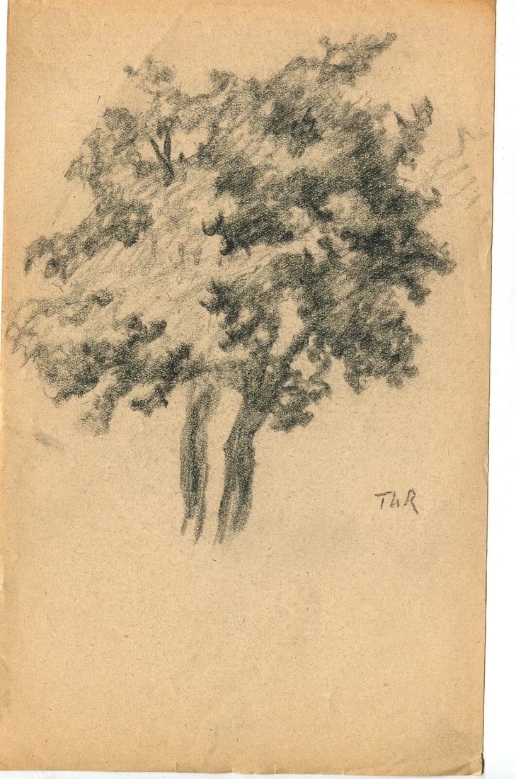 Early 20th French Pencil Drawing Tree Antique Original 1900 - 2