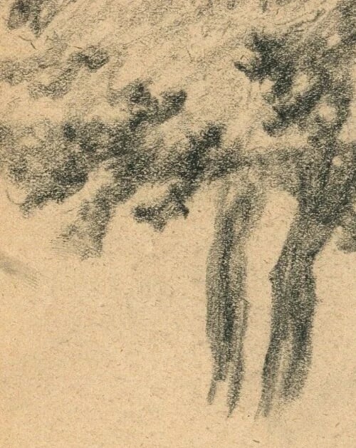 Early 20th French Pencil Drawing Tree Antique Original 1900 - 3