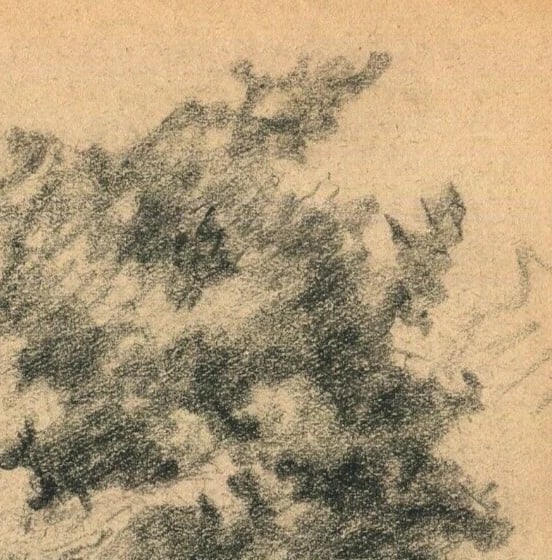 Early 20th French Pencil Drawing Tree Antique Original 1900 - 4