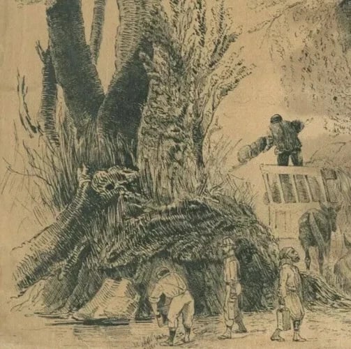 Orientalist Ink Drawing Figures, Animal, El-Arrouch, Algeria - 4