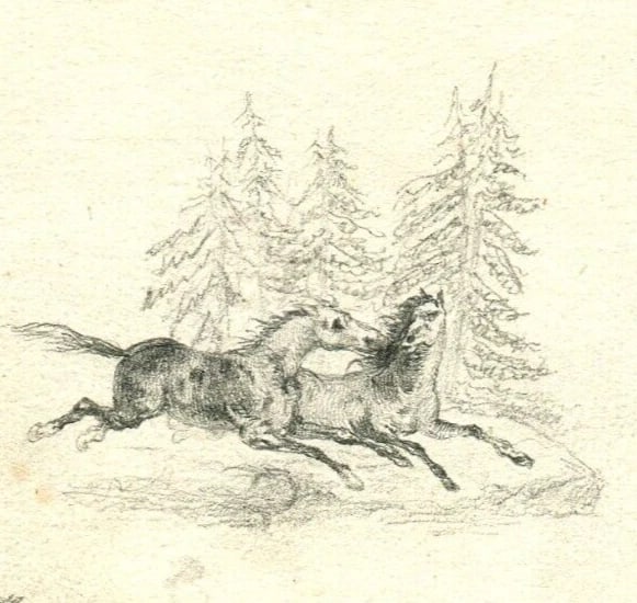 Antique Pencil Original Drawing 19th century of Horses, Hunting Scenes Artwork - 3