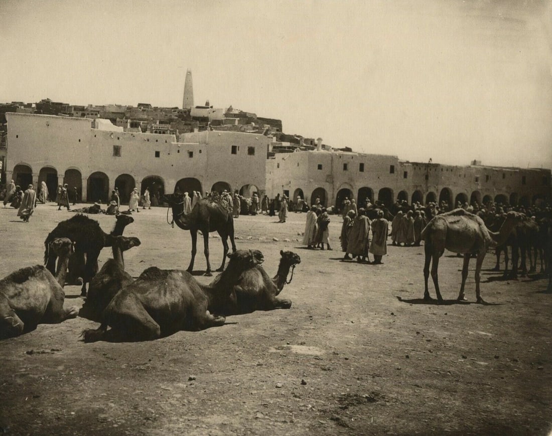 R.PROUHO - Gardaiah, Mzab Market, Algeria Vintage Photographs c. 1910: Photographs R.PROUHO - Gardaiah, Mzab Market, Algeria c.1910 Description: Dimension: 24 x 30 cm Reserve: $100.00 Shipping: Domestic: Flat-rate of $19.00 to anywhere within the contiguous U.S